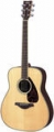 Гитара акустическая Amati MD-6621