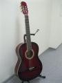 Гитара классическая Euphony (USA) EC-100-TWRS
