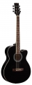 Гитара акустическая  Martinez W – 91C/BK