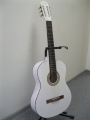 Гитара классическая  N. Amati / Z-39WH / Z-Series