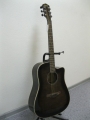 Гитара акустическая Euphony (USA) ED-300 CGR/ NEW Model 2013!
