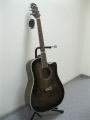 Гитара акустическая AOSEN (Japan) ADC 601-GBR (Вырез)
