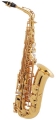 Альт саксофон Eubulos (France) EAS-800G / Professional Series