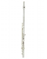 Флейта поперечная строй С Forest (USA) LKFL-306-SE. Ми-механика