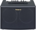 Комбоусилитель для акустической гитары Roland  AC-60 2х30Вт, 2x6