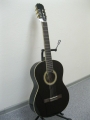 Гитара классическая Euphony (USA) EC-100-BK