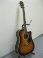 Гитара акустическая Euphony (USA) EW-280-CTS