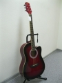 Гитара акустическая Euphony (USA) EW-100-CTWRS