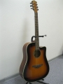 Гитара акустическая Euphony (USA) ED-300 CSB/ NEW Model 2013!
