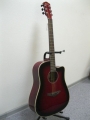 Гитара акустическая Euphony (USA) ED-300 CTWRS/ NEW Model 2013!