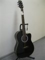 Гитара электроакустическая Euphony (USA) EW-100-CEQ-BK