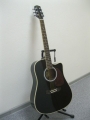 Гитара электроакустическая Euphony (USA) EW-280-CEQ-BK