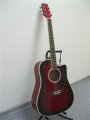 Гитара электроакустическая Euphony (USA) EW-280-CEQ-TWRS