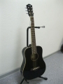 Гитара акустическая Euphony Baby GW-130 BK (1/2)